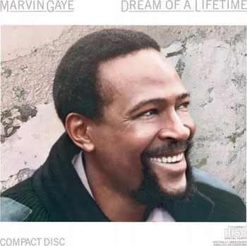 Zahraniční hudba Dream Of A Lifetime (Transparent Blue) Marvin Gaye Vinylová Deska