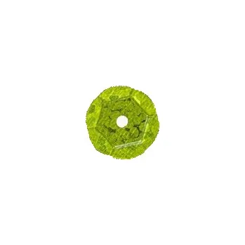 Set školních potřeb Cekiny hologramowe H 150 jasny zielony