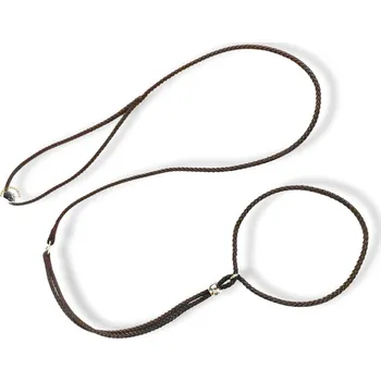 Vodítko pro psa Dinofashion Vodítko předváděcí nylon HNĚDÉ 130cm/6mm