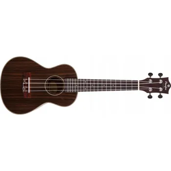 Ukulele Koncertní ukulele Prodipe Guitars