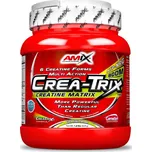 Amix Crea-Trix™ Fruit Punch