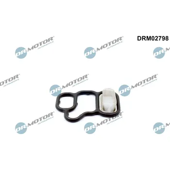 Těsnění motoru Těsnění, seřízení vačkového hřídele DR.MOTOR DRM02798
