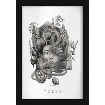 Obraz Moderní nástěnná dekorace Černobílé Tokio Drak Višňový květ 20x30 cm