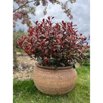 Zahradní dekorace ZahradniDekorace venkovní keramické květináče - keramická váza V, výška 25 cm ODSTÍN-GLAZURA: 2.starohnědá-černý lem-SHC