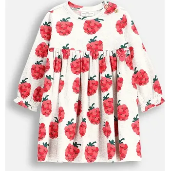 Dámské šaty Šaty Coccodrillo šedá barva, midi, MAXITROPIC GIRL NEWBORN WC5129101MGN 09X, vel. 68