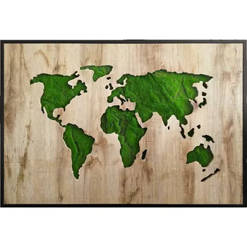 Obraz Green Deco Mechový obraz Mapa světa, 70 × 100 cm&nbsp;OB-22668