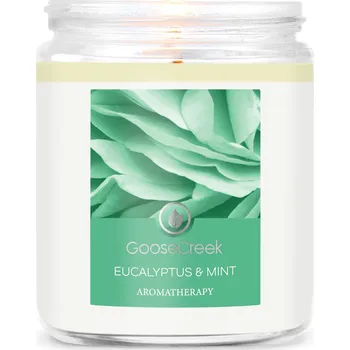 Svíčka Goose Creek Candle svíčka Eucalyptus & Mint, 198 g