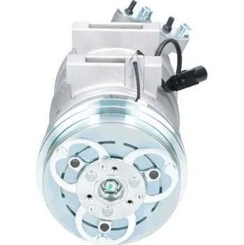 Kompresor klimatizace Kompresor klimatizace BV PSH 090.155.093.000