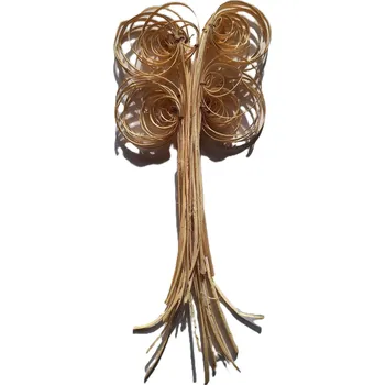 CANE COIL BLCH COLOR bílá