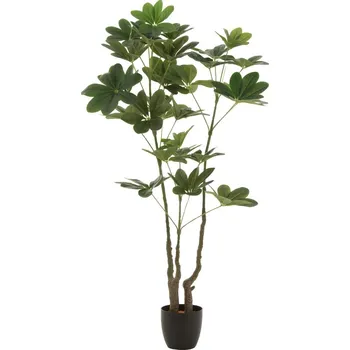 umělá květina J-line Umělá květina Money Tree 157 cm