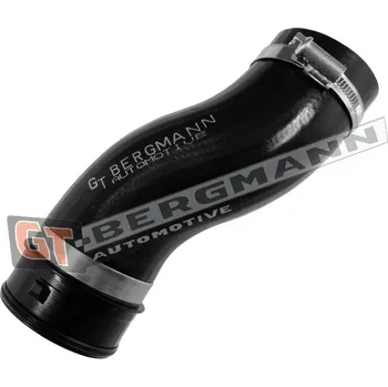 Turbodmychadlo Hadice plnícího vzduchu GT BERGMANN GT52-788