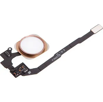 Náhradní kryt pro mobilní telefon Obvod tlačítka Home Button včetně kovového rámečku a tlačítka Home Button pro Apple iPhone 5S / SE - bílé / růžově zlaté (Rose G