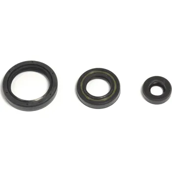 Automobilové těsnění ATHENA sada gufer motoru HUSQVARNA TE/TC 250 10-14, TE/TXC 310 11-14 (ATHENA sada gufer motoru HUSQVARNA TE/TC 250 10-14, TE/TXC 310 11-14)