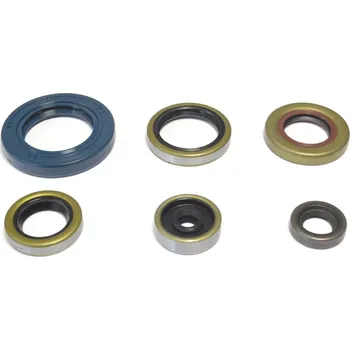 Automobilové těsnění ATHENA sada gufer motoru KTM SX 65 09-23, HUSQVARNA TC 65 17-23, GAS GAS MC 65 21-23 (ATHENA sada gufer motoru KTM SX 65 09-23, HUSQVARNA TC 65 17-23, GAS GAS MC 65 21-23)