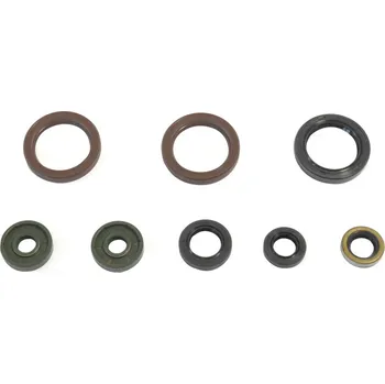 Těsnění motoru ATHENA sada gufer motoru KTM SXF 450 13, EXCF 450/500 12-13 (ATHENA sada gufer motoru KTM SXF 450 13, EXCF 450/500 12-13)