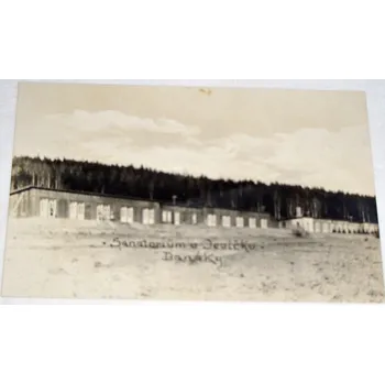 Karnevalový kostým Jevíčko sanatorium: baráky