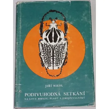 DVD film Niedl Jiří - Podivuhodná setkání