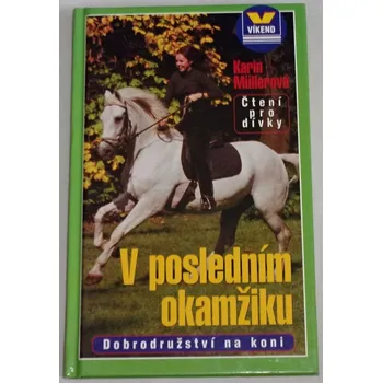 Müllerová Karin - V posledním okamžiku