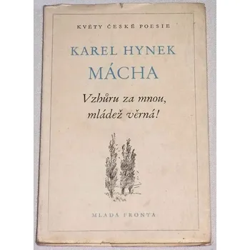 Literární biografie Mácha Karel Hynek - Vzhůru za mnou, mládež věrná!