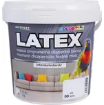 Kittfort LATEX UNIVERZÁLNÍ Barva: bílá, Balení: 0,8 kg
