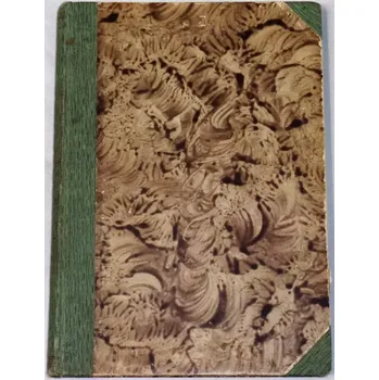 Verne Julius - Honba za meteorem