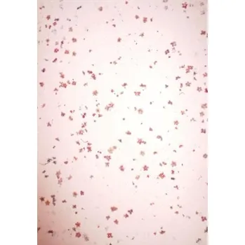 Umělecký papír Ruční papír A3