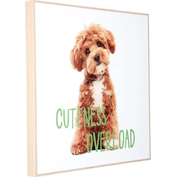 Obraz Obraz Štěňátko Cuteness Overload 40x40cm Present Time (Štěňátko)
