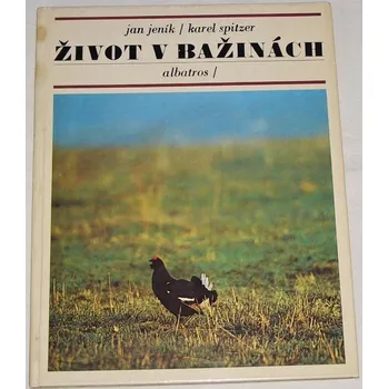 Literární biografie Jeník Jan, Spitzer Karel - Život v bažinách