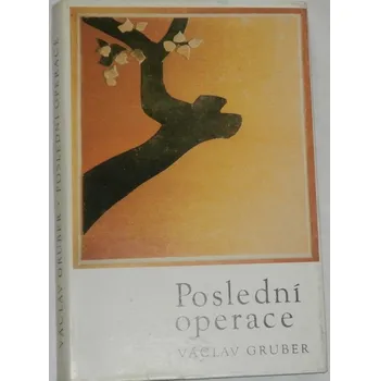 Gruber Václav - Poslední operace