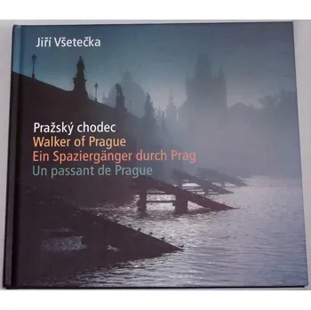 Umění Všetečka Jiří - Pražský chodec