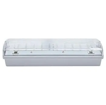 Nouzové osvětlení 910102000 Nouzové svítidlo CARLA 30 LED 230-240V 3h DP IP65
