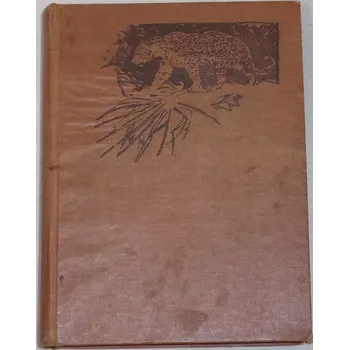 Verne Jules - Tajuplný ostrov