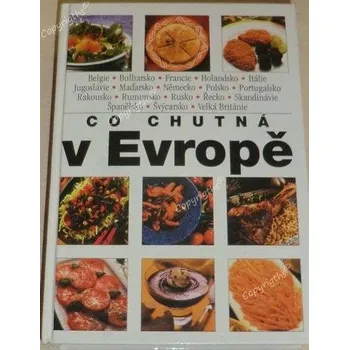 Literární cestopis Vlachová Libuše - Co chutná v Evropě