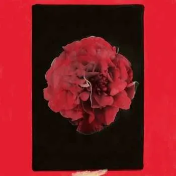 Hudba LP Activity: A Thousand Years In Another Way 2025