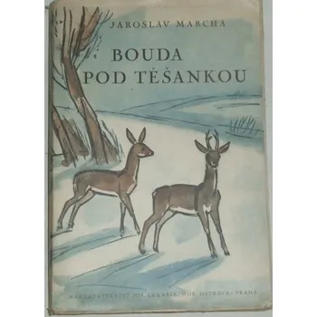 Literární cestopis Marcha Jaroslav - Bouda pod Těšankou