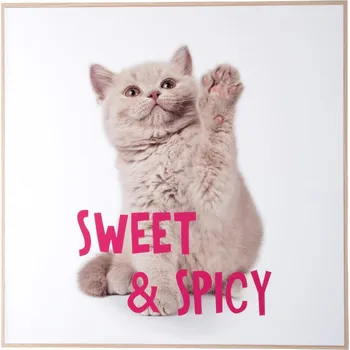 Obraz Obraz Koťátko Sweet & Spicy 40x40cm Present Time (Koťátko)