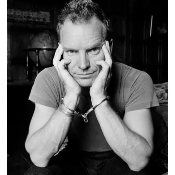 Plakát Plakát, Obraz - Sting in Handcuffs