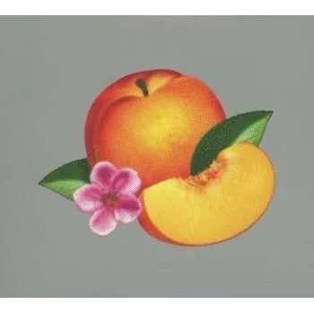 Zahraniční hudba 2CD Phoenix: Bankrupt! DLX | LTD 2013 Limited Deluxe Edition