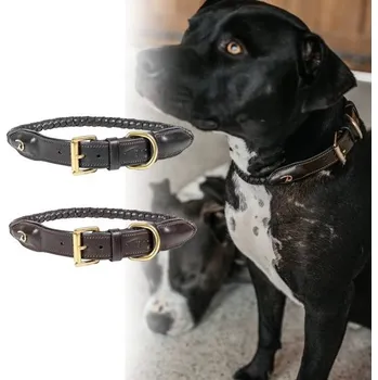 Obojek pro psa Obojek Dy'on Braided