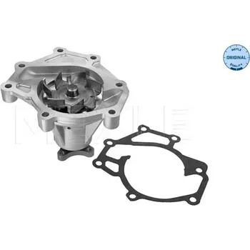 Motor automobilu Vodní čerpadlo, chlazení motoru MEYLE 28-13 220 0001