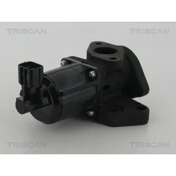 Ventil palivového systému AGR-Ventil TRISCAN 8813 50007