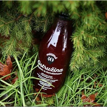 Sirup Sirup 40 mililitrů ostružina&zázvor&kardamom 0,75 l