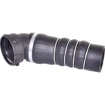 Turbodmychadlo Hadice plnícího vzduchu BUGIAD 84631