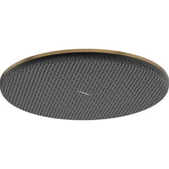 Sprchová hlavice Hansgrohe Raindance Alive S - Hlavová sprcha 300 1jet, EcoSmart, kartáčovaný bronz 24521140