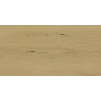 Dlažba Bricola Ale - dlaždice rektifikovaná 59,8x119,8 béžová, tl. 9 mm DAKV9850