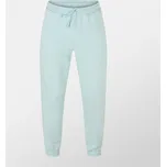 Tepláky Puma Turquoise Su 1109659 L