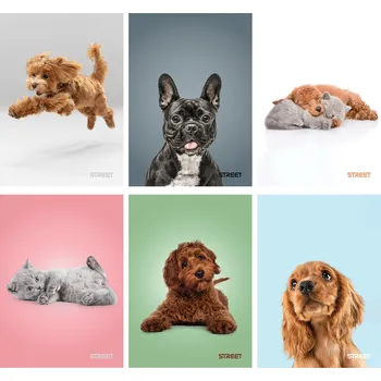 Sešit Eurocom Sešit A4 56 listů Friends čtverečkovaný ,balení 10 ks 559702