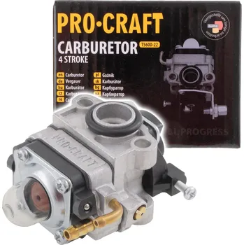 Karburátor Karburátor 4.takt PROCRAFT | T5600-22