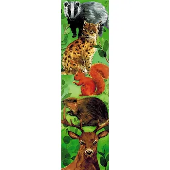 Obraz Záložka - Zvířata