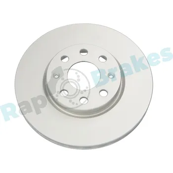 Brzdový kotouč Brzdový kotouč RAP BRAKES R-D0307